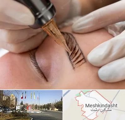 میکروبلیدینگ در مشکین دشت