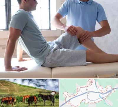 دکتر متخصص ارتوپد در تالش