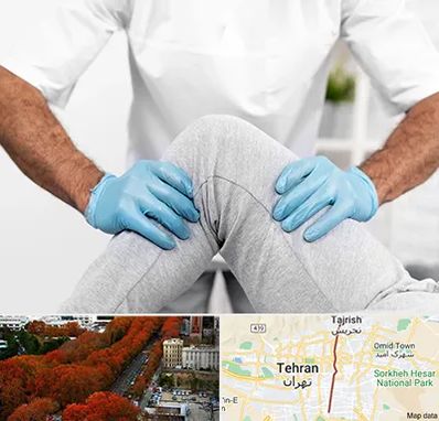 دکتر متخصص زانو در ولیعصر 