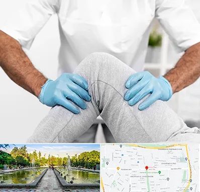 دکتر متخصص زانو در سرسبز 