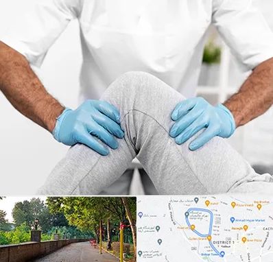 دکتر متخصص زانو در فلکه گاز رشت 