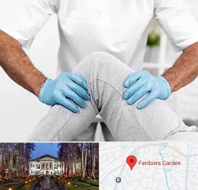 دکتر متخصص زانو در باغ فردوس