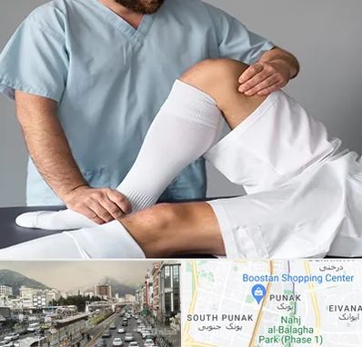 دکتر متخصص ران در پونک