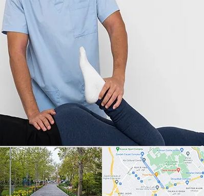 دکتر متخصص لگن در قدوسی غربی شیراز 