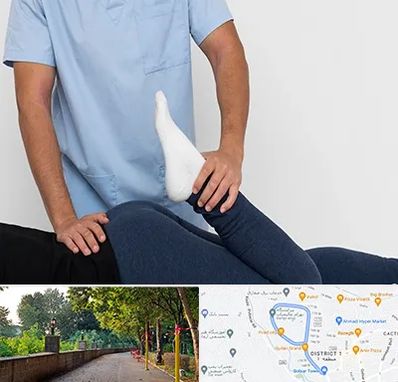 دکتر متخصص لگن در بلوار گیلان رشت 