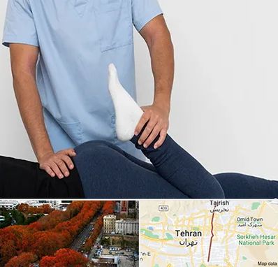 دکتر متخصص لگن در ولیعصر 