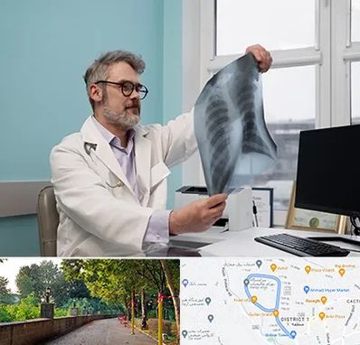 دکتر سرطان مغز و استخوان در فلکه گاز رشت 