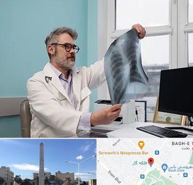 دکتر سرطان مغز و استخوان در فلکه گاز شیراز 