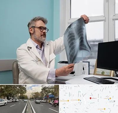 دکتر سرطان مغز و استخوان در دولت 