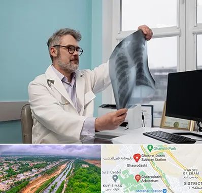 دکتر سرطان مغز و استخوان در قصرالدشت شیراز 