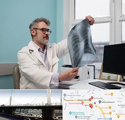 دکتر سرطان مغز و استخوان در پارک وی 