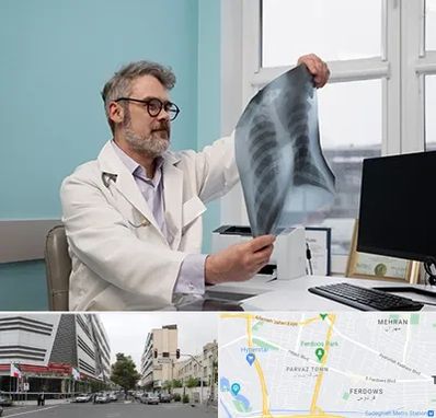 دکتر سرطان مغز و استخوان در بلوار فردوس 