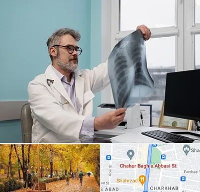 دکتر سرطان مغز و استخوان در چهارباغ اصفهان 