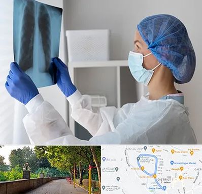 جراح سرطان مغز و استخوان در بلوار گیلان رشت 