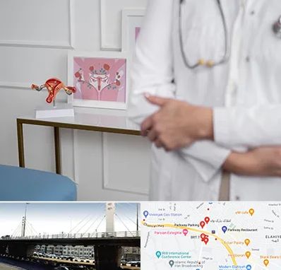 دکتر سرطان تخمدان در پارک وی 