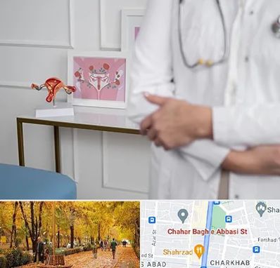 دکتر سرطان تخمدان در چهارباغ اصفهان 