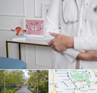 دکتر سرطان تخمدان در قدوسی غربی شیراز 