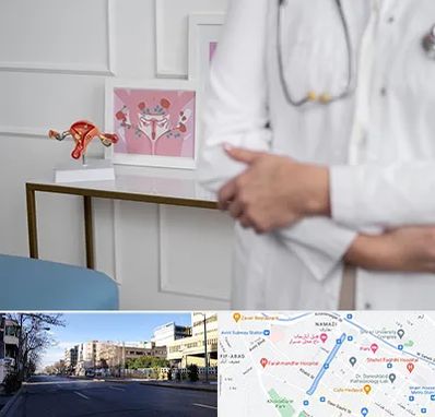 دکتر سرطان تخمدان در خیابان ملاصدرا شیراز 