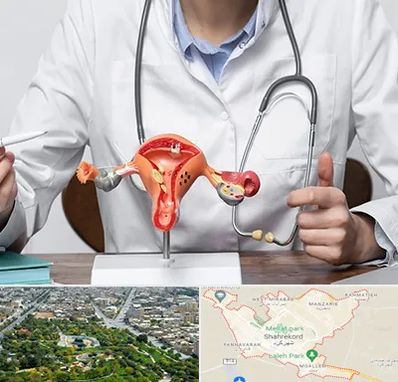 جراح سرطان رحم در شهرکرد