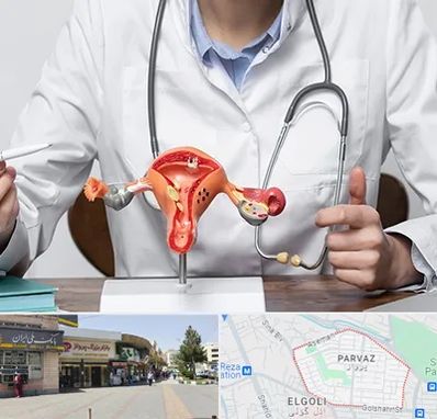 جراح سرطان رحم در پرواز تبریز