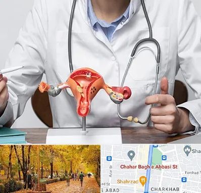 جراح سرطان رحم در چهارباغ اصفهان 