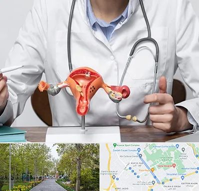 جراح سرطان رحم در قدوسی غربی شیراز 