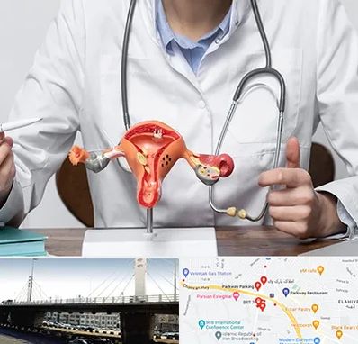 جراح سرطان رحم در پارک وی 