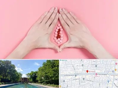 دکتر سرطان واژن در هشت بهشت اصفهان 