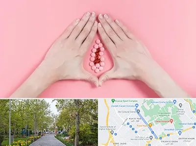 دکتر سرطان واژن در قدوسی غربی شیراز 