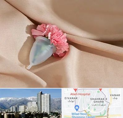 جراح سرطان واژن در شهرک غرب 