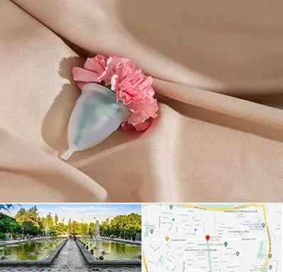 جراح سرطان واژن در سرسبز 