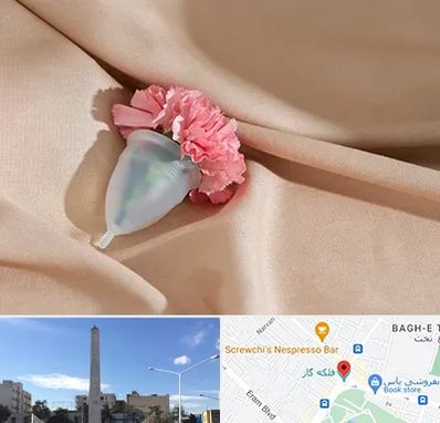 جراح سرطان واژن در فلکه گاز شیراز 