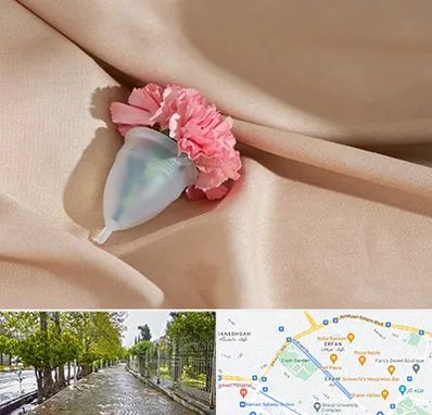 جراح سرطان واژن در خیابان ارم شیراز 