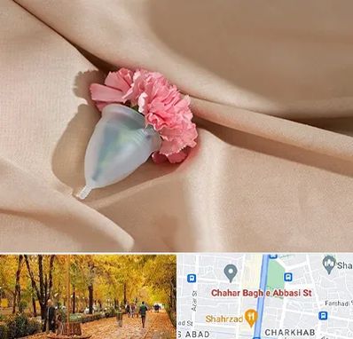 جراح سرطان واژن در چهارباغ اصفهان 