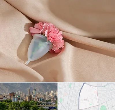 جراح سرطان واژن در جمشیدیه