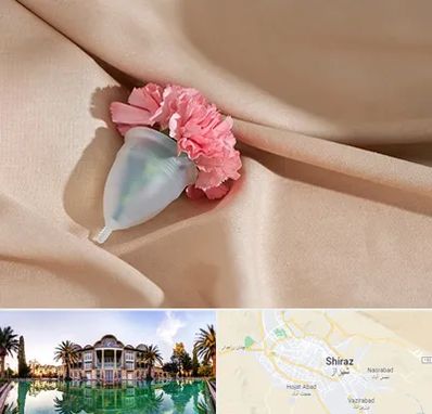 جراح سرطان واژن در شیراز