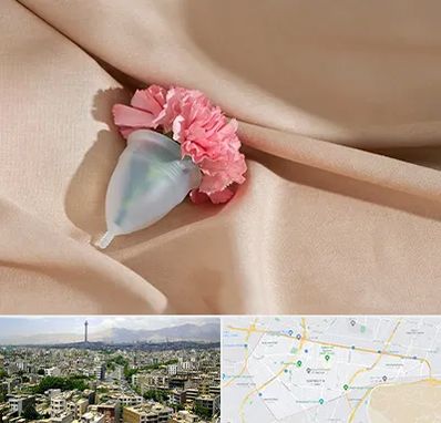 جراح سرطان واژن در منطقه 8 تهران