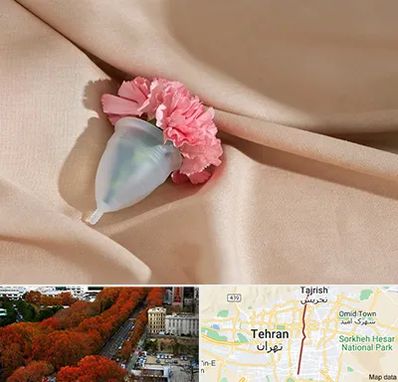 جراح سرطان واژن در ولیعصر 