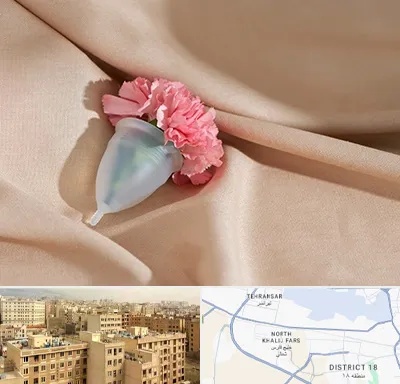 جراح سرطان واژن در جنوب غرب تهران