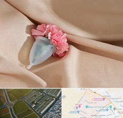 جراح سرطان واژن در الهیه مشهد 