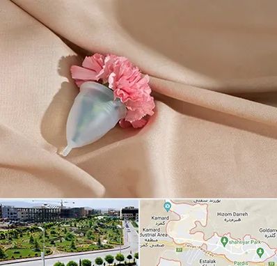 جراح سرطان واژن در پردیس