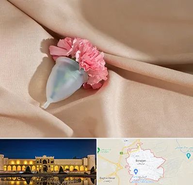 جراح سرطان واژن در برازجان