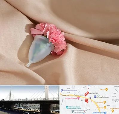 جراح سرطان واژن در پارک وی 