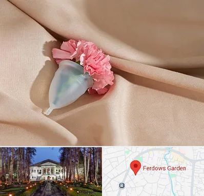 جراح سرطان واژن در باغ فردوس