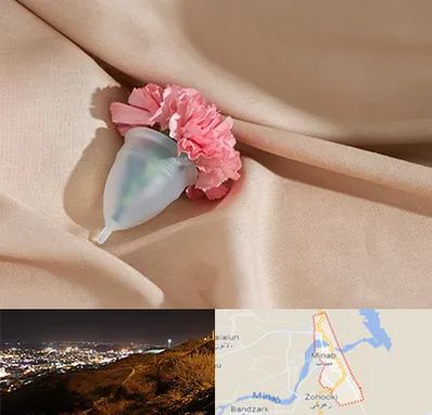 جراح سرطان واژن در میناب
