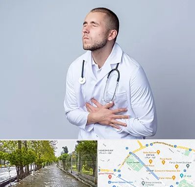 دکتر سرطان پانکراس در خیابان ارم شیراز 