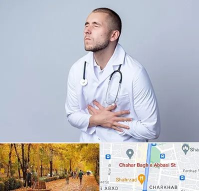 دکتر سرطان پانکراس در چهارباغ اصفهان 