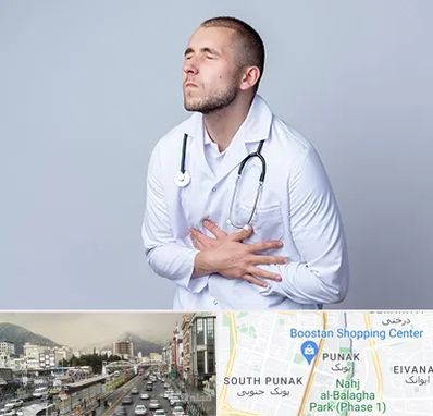 دکتر سرطان پانکراس در پونک 