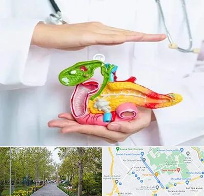 دکتر سرطان لوزالمعده در قدوسی غربی شیراز 