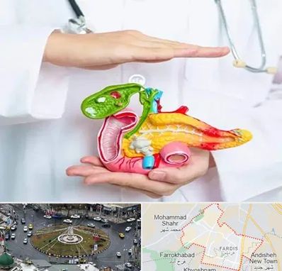 دکتر سرطان لوزالمعده در فردیس کرج 